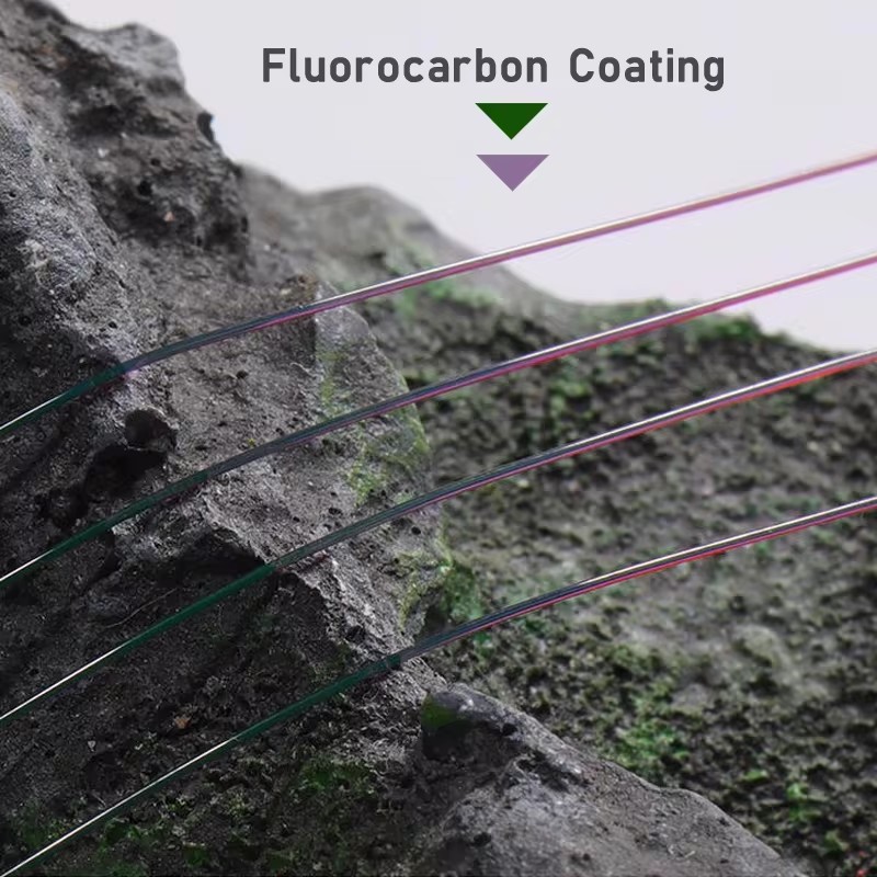 100M Big Size Fluorocarbon Fis - đánh giá và giá Freshwater Line